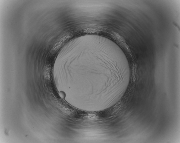 X0000101160114200807251119