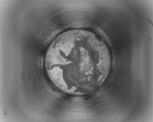 X0000101160115200807251119