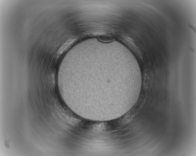 X0000101160116200807251119