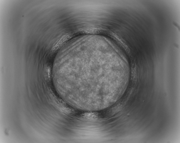 X0000101160117200807251119