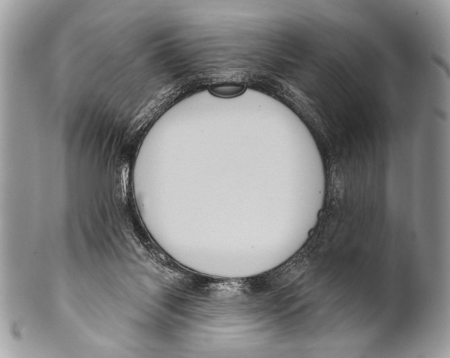 X0000101160118200807251119