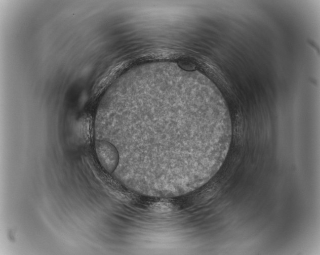 X0000101160119200807251119