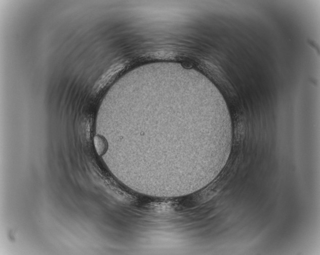 X0000101160120200807251119