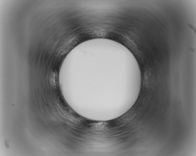 X0000101160122200807251119