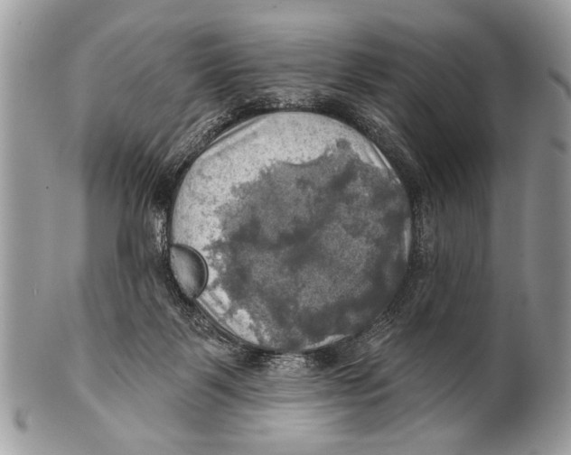 X0000101160123200807251119