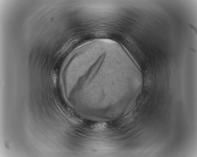 X0000101160124200807251119