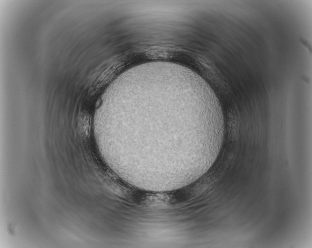 X0000101160125200807251119