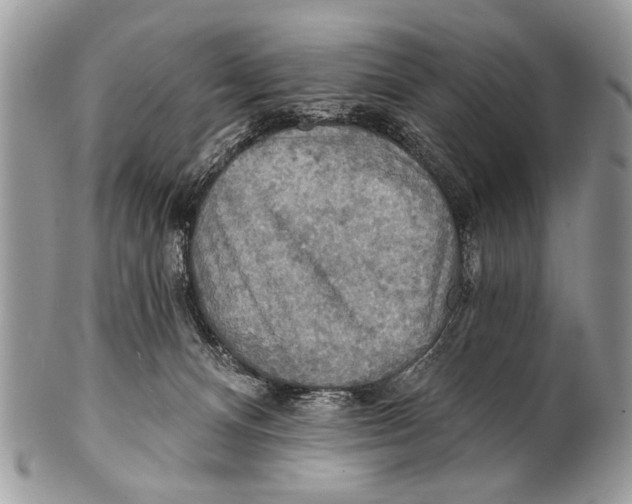 X0000101160128200807251119