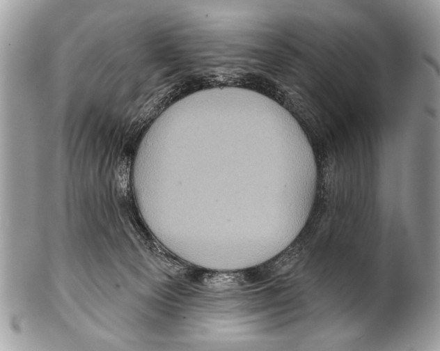 X0000101160129200807251119