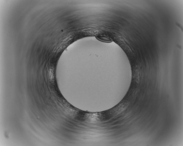 X0000101160131200807251119