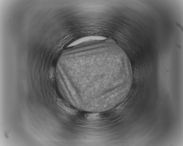 X0000101160132200807251119