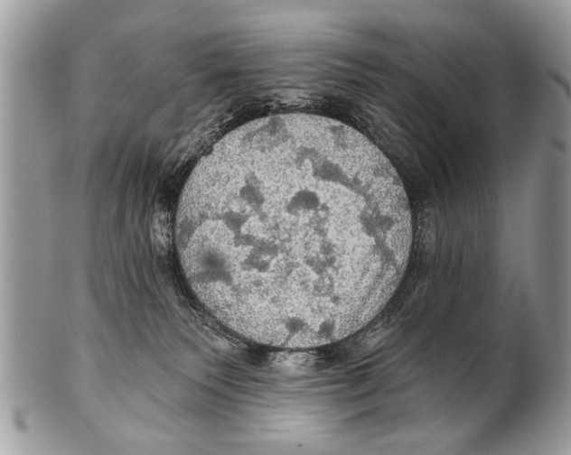 X0000101160135200807251119