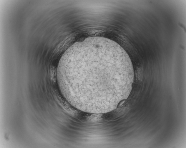 X0000101160138200807251119