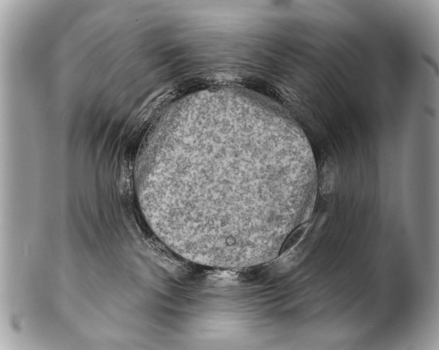 X0000101160140200807251119