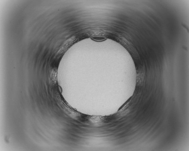 X0000101160142200807251119