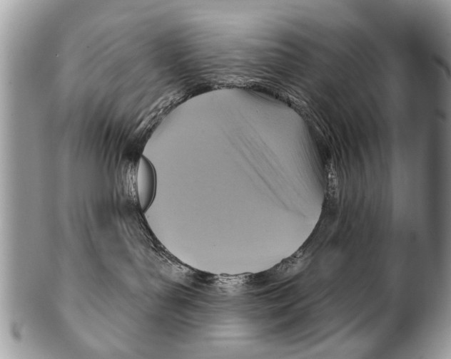 X0000101160143200807251119