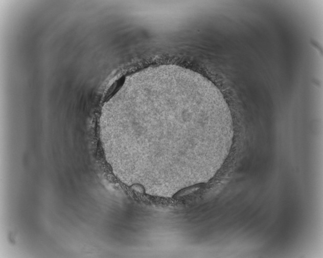 X0000101160144200807251119