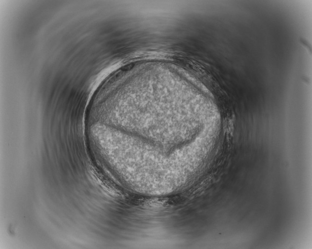 X0000101160148200807251118