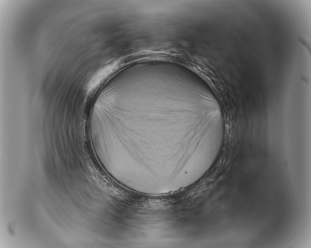 X0000101160149200807251118
