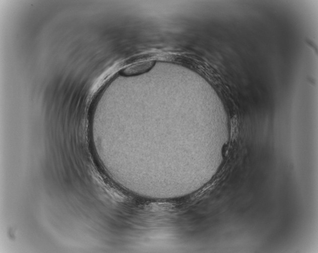X0000101160150200807251118