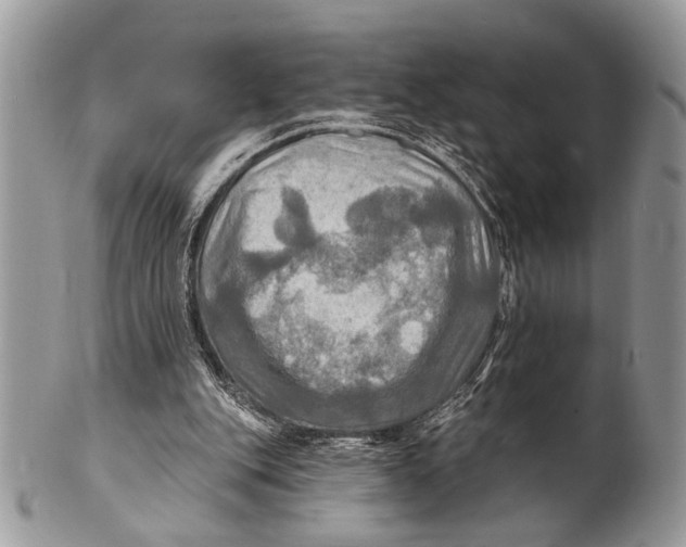 X0000101160151200807251118