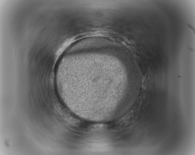 X0000101160152200807251118