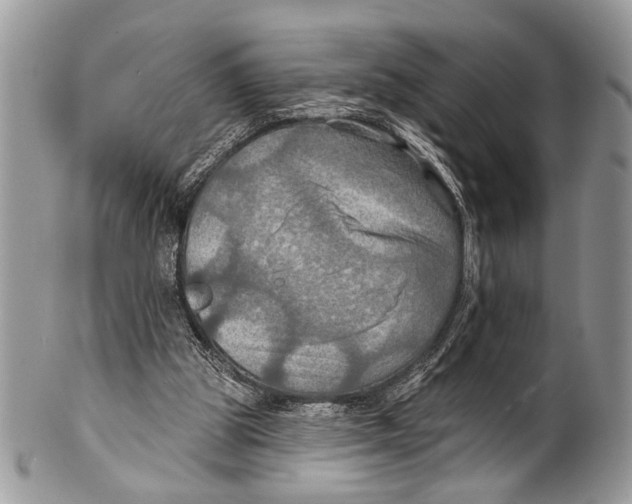 X0000101160153200807251118