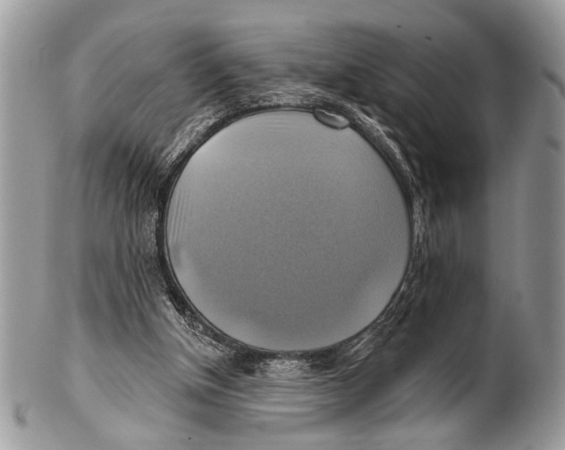 X0000101160154200807251118