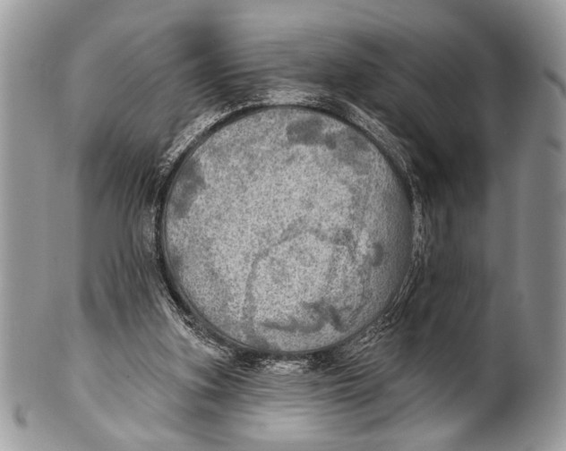 X0000101160155200807251118