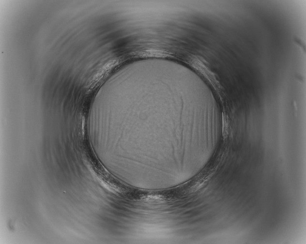X0000101160157200807251118