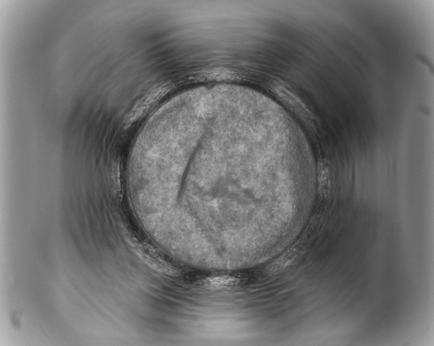 X0000101160158200807251118