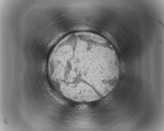 X0000101160159200807251118