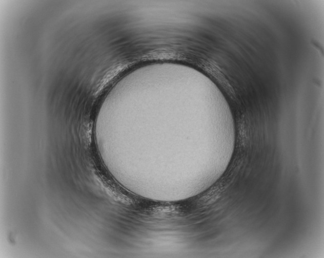 X0000101160160200807251118