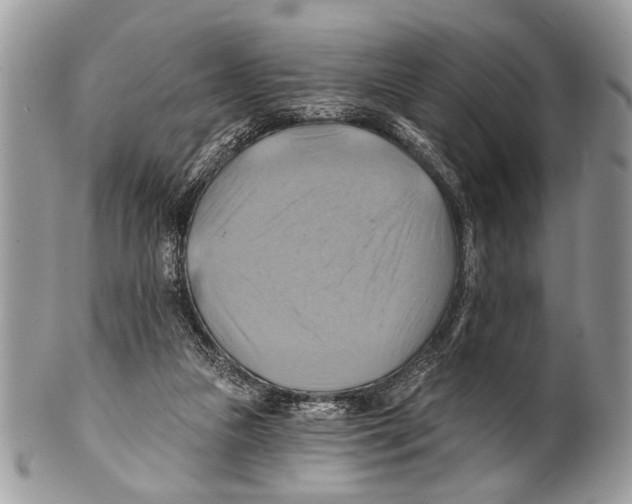 X0000101160161200807251118