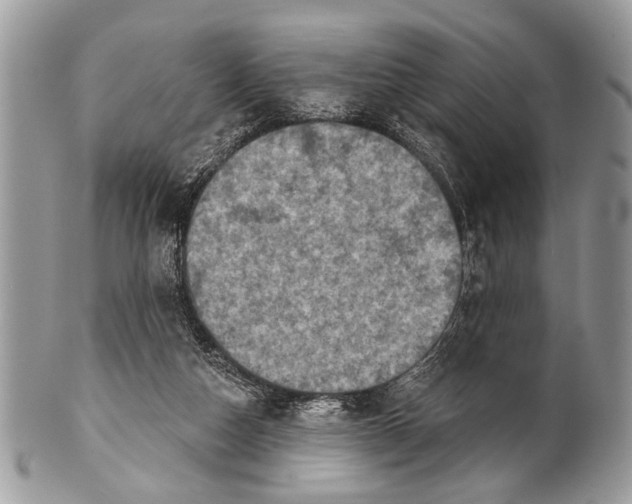 X0000101160162200807251118