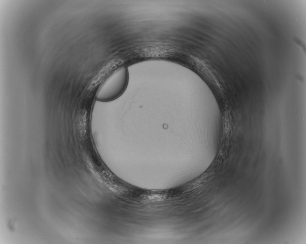 X0000101160163200807251118