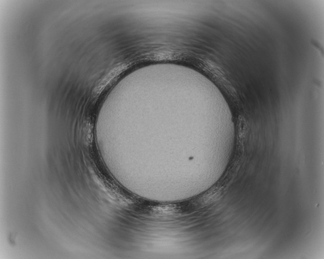 X0000101160164200807251118