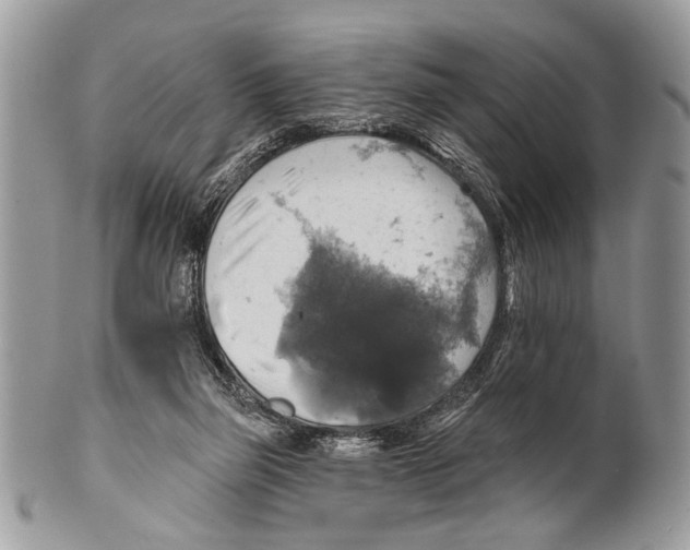 X0000101160165200807251118