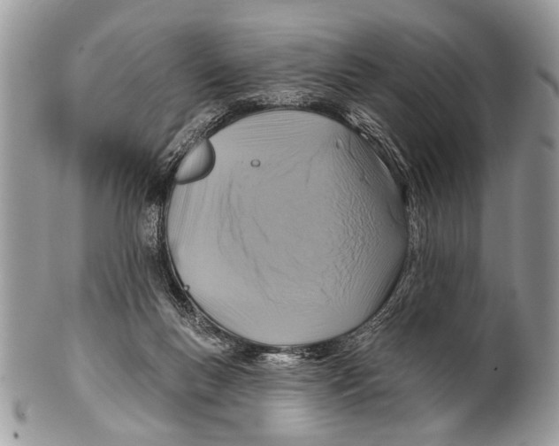 X0000101160167200807251118