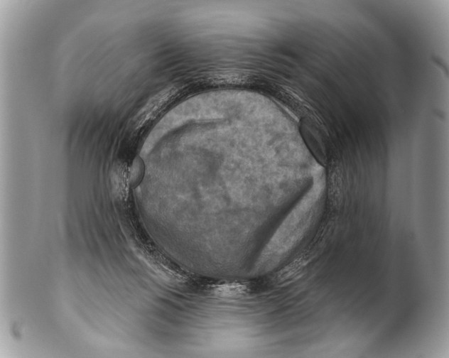 X0000101160168200807251118