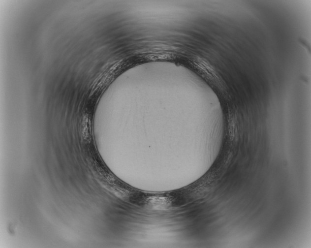 X0000101160169200807251118