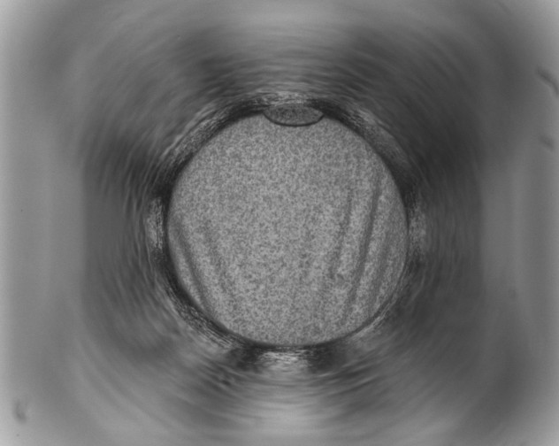X0000101160170200807251118