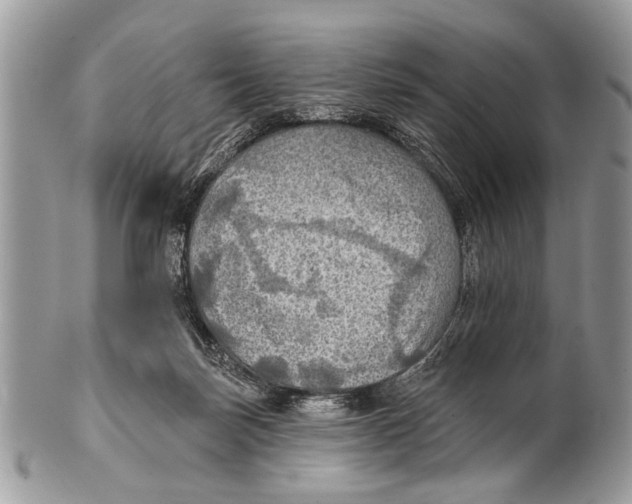X0000101160171200807251118