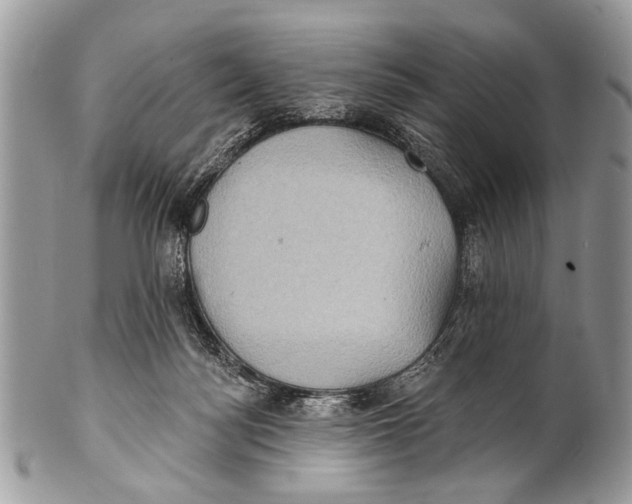 X0000101160172200807251118
