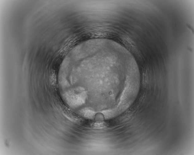 X0000101160173200807251118