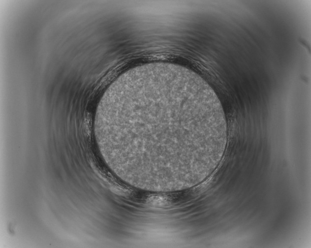 X0000101160174200807251118