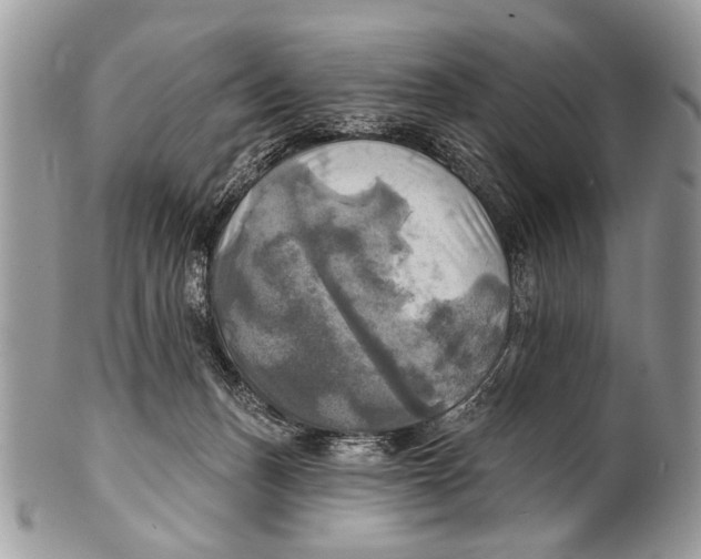 X0000101160175200807251118