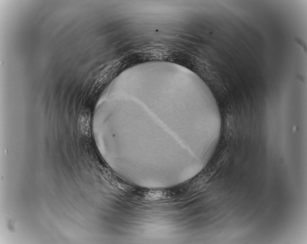 X0000101160177200807251118