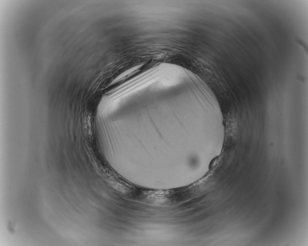 X0000101160182200807251119