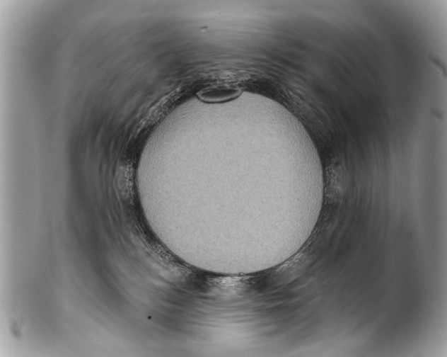 X0000101160184200807251119